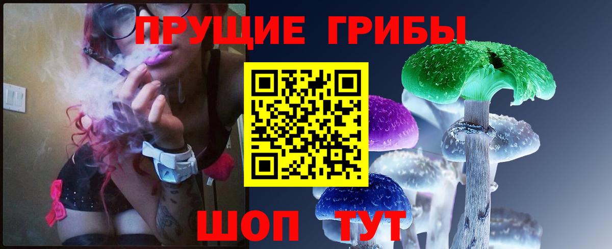 Торжок  где можно купить   Вход с VPN  Галлюциногенные грибы мухоморы 